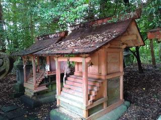 菅原神社・雷電神社(今市瀧尾神社)の参拝記録(yukiさん)