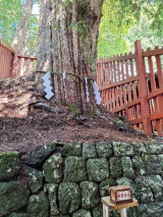 山霊宮(日光二荒山神社中宮祠)の参拝記録(まーさんさん)