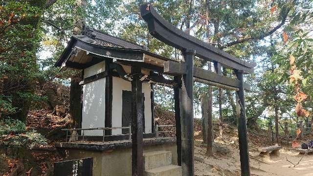 東京都羽村市羽７４２ 羽村神社の写真1
