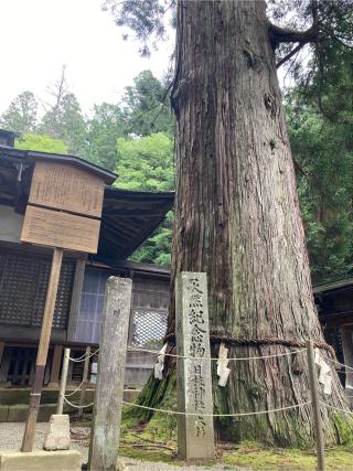 天満神社(日枝神社境内社)の参拝記録(恭子さん)