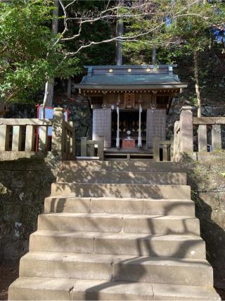 高龗神(大山阿夫利神社)の参拝記録(あきさん)