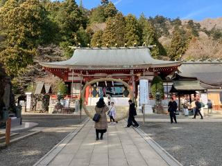 高龗神(大山阿夫利神社)の参拝記録(あきさん)