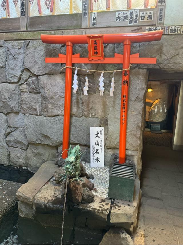 高龗神(大山阿夫利神社)の参拝記録2