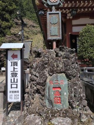 高龗神(大山阿夫利神社)の参拝記録(SFUKUさん)