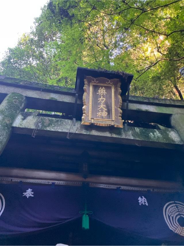 薬力大神(稲荷山)の参拝記録2
