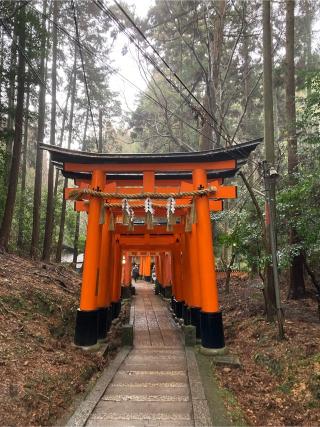 大杉社(稲荷山)の参拝記録(恭子さん)