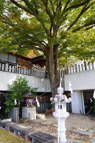 欅大名神宮(出雲大社 美作分院 境内社)の参拝記録(Roseさん)