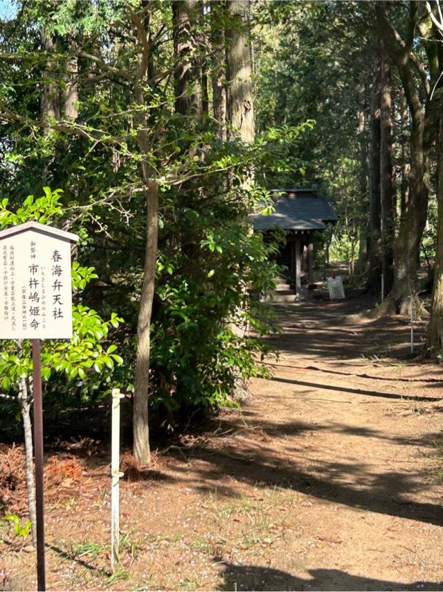 春海弁天社(水神社)の参拝記録2