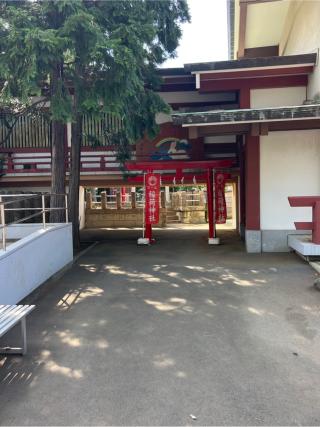 稲荷神社(瀬田玉川神社)の参拝記録(⛩️🐍🐢まめ🐢🐍⛩️さん)