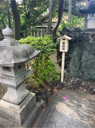 水神  (境内社)の参拝記録(⛩️🐍🐢まめ🐢🐍⛩️さん)