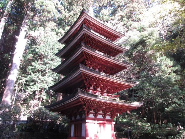 奈良県宇陀市室生 室生寺　五重塔の写真1