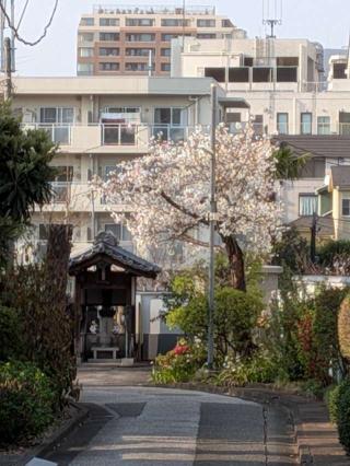 大竜寺（大龍寺）の参拝記録(まーさんさん)