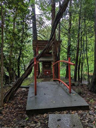 厳島神社の参拝記録(はしどいさん)