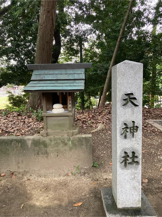 天神社(大岡白山神社　境内)の参拝記録4