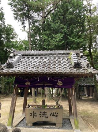 天神社(大岡白山神社　境内)の参拝記録(恭子さん)