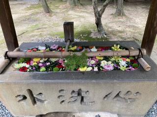 八幡社(大岡白山神社　境内)の参拝記録(恭子さん)
