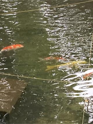 大己貴社(大岡白山神社　境内)の参拝記録(恭子さん)