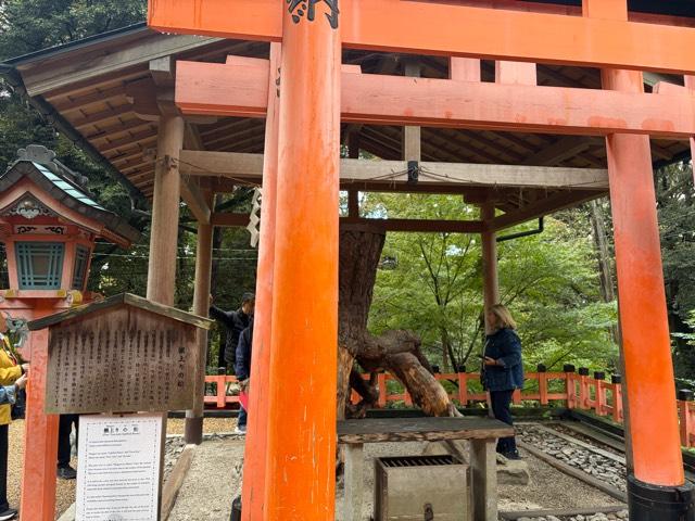 根上りの松(伏見稲荷大社)の参拝記録3