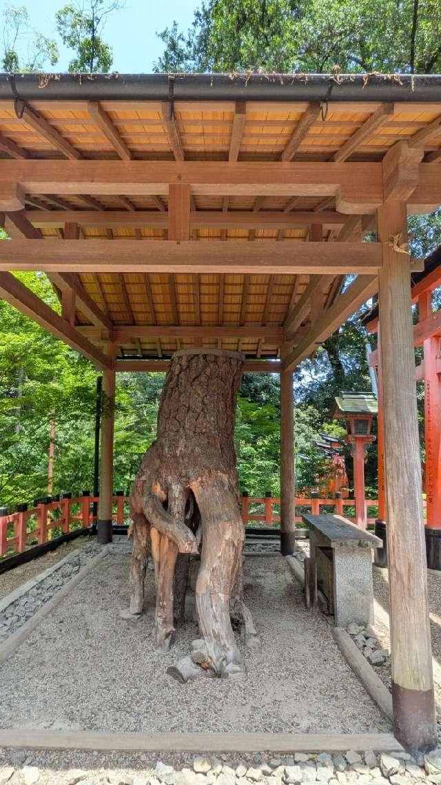根上りの松(伏見稲荷大社)の参拝記録3