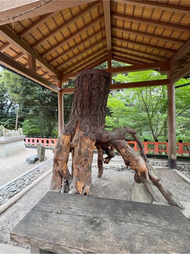 根上りの松(伏見稲荷大社)の参拝記録3