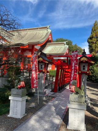 箱崎稲荷神社(箱崎八幡神社境内社)の参拝記録(TOSHIさん)