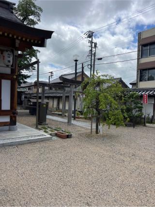 美加多神社(菅原神社境内社)の参拝記録(⛩️🐍🐢まめ🐢🐍⛩️さん)