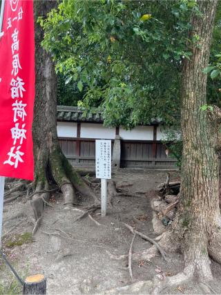 高原稲荷神社(菅原神社境内社)の参拝記録(⛩️🐍🐢まめ🐢🐍⛩️さん)