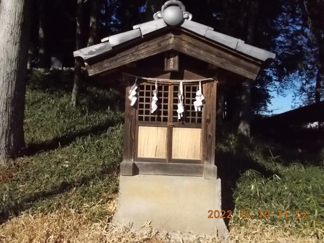 埼玉県坂戸市善能寺317－1 正一位稲荷大明神(金毘羅神社境内)の写真1