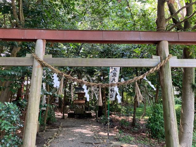 昇龍大明神社(玉鉾神社摂社)の参拝記録2