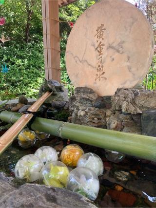 辨財天社(玉鉾神社摂社)の参拝記録(恭子さん)