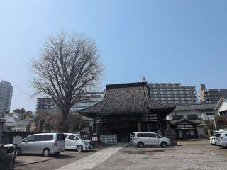 臨海山 光照院 法禅寺の参拝記録(まーさんさん)