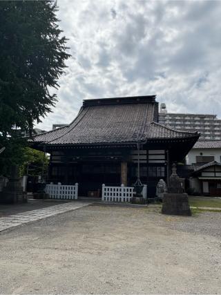 臨海山 光照院 法禅寺の参拝記録(色部優兎さん)