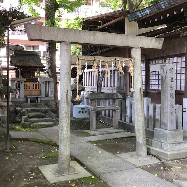 白龍龍王(若宮八幡社)の参拝記録2