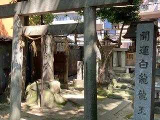 白龍龍王(若宮八幡社)の参拝記録(恭子さん)