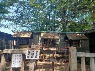 津島・神明・秋葉社(塩竈神社)の参拝記録(銀玉鉄砲さん)