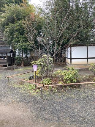 春日・住吉・蛭子・鈿女社(平野神社境内社)の参拝記録(すし吉さん)