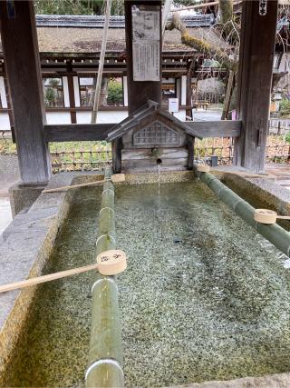 八幡社(平野神社)の参拝記録(恭子さん)