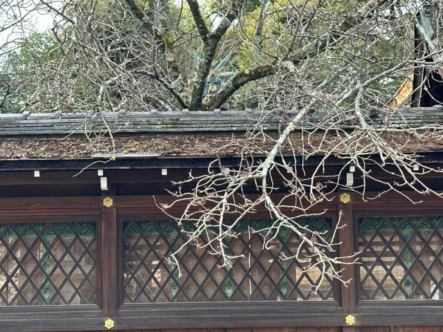 縣社(平野神社境内社)の参拝記録5