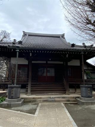 正徳寺の参拝記録(シャモさん)