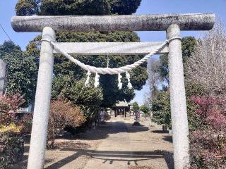 八坂神社の参拝記録(さとみさん)