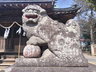 八坂神社の参拝記録(さとみさん)