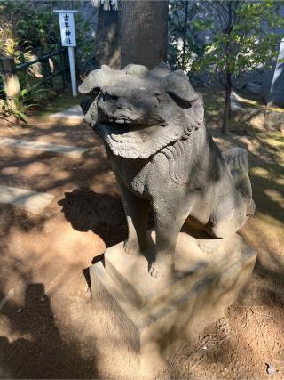 古峯神社（稲毛浅間神社境内社）の参拝記録(⛩️🐉🐢まめ🐢🐉⛩️さん)