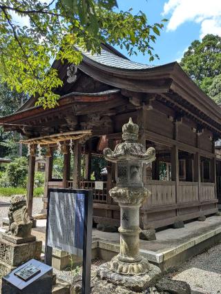 若八幡宮の参拝記録(こまいぬおさん)