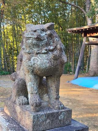 須賀神社の参拝記録(風祭すぅさん)