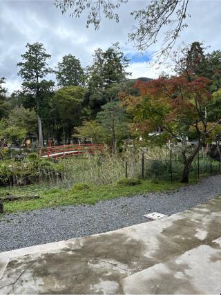 地主社(大原野神社)の参拝記録(⛩️🐍🐢まめ🐢🐍⛩️さん)