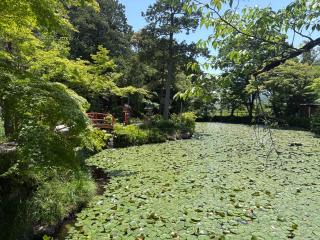 地主社(大原野神社)の参拝記録(placerisierさん)