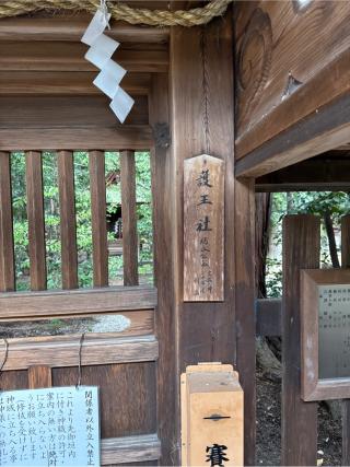 護王社(梅宮大社)の参拝記録(⛩️🎠🐢まめ🐢🎠⛩️さん)