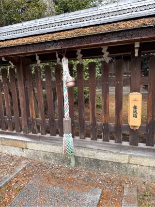 若宮社(梅宮大社)の参拝記録(⛩️🎠🐢まめ🐢🎠⛩️さん)