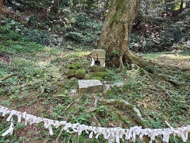 産霊社（大水上神社境内社）の参拝記録1
