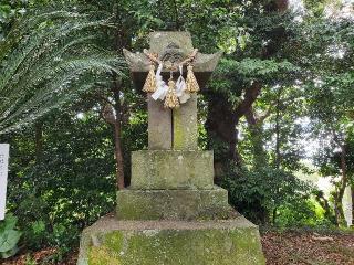 七郎神社(今福神社境内社)の参拝記録(飛成さん)